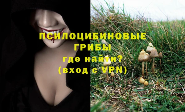 соль курить ск Алексеевка