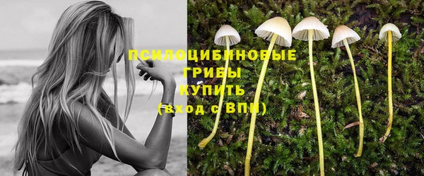 герыч Абаза