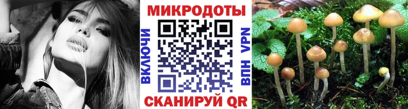 магазин продажи   Шали  Псилоцибиновые грибы мухоморы 